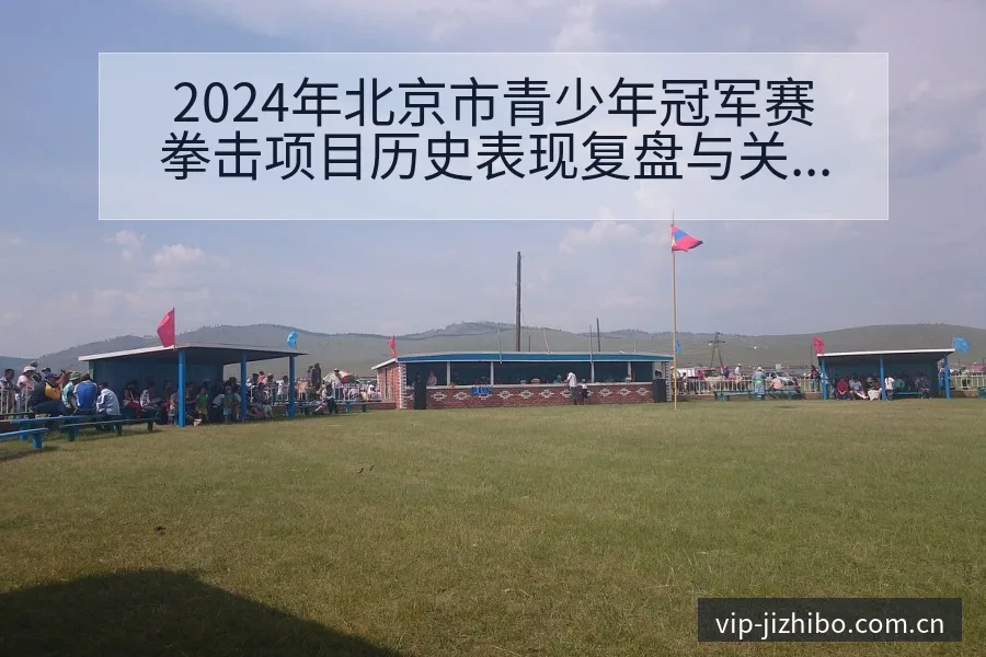 2024年北京市青少年冠军赛拳击项目历史表现复盘与关键变 - 极直播